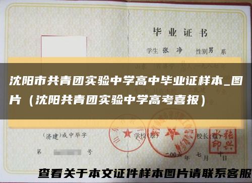 沈陽市共青團實驗中學高中畢業證樣本_圖片（沈陽共青團實驗中學高考喜報）縮略圖