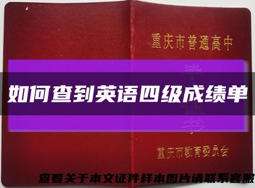 如何查到英語四級成績單縮略圖