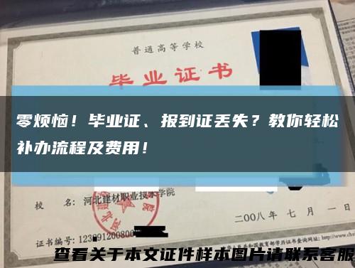 零煩惱！畢業證、報到證丟失？教你輕松補辦流程及費用！縮略圖