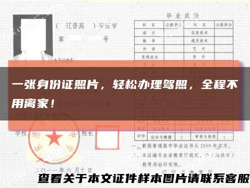 一張身份證照片，輕松辦理駕照，全程不用離家！縮略圖