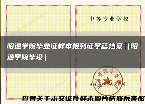 昭通學院畢業證樣本報到證學籍檔案（昭通學院畢設）縮略圖