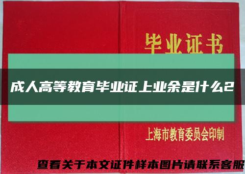 成人高等教育畢業證上業余是什么2縮略圖
