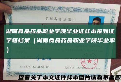湖南食品藥品職業學院畢業證樣本報到證學籍檔案（湖南食品藥品職業學院畢業率）縮略圖