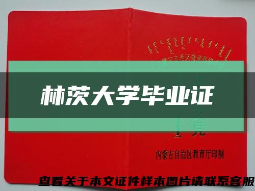 林茨大學畢業證縮略圖