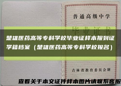 楚雄醫藥高等?？茖W校畢業證樣本報到證學籍檔案（楚雄醫藥高等?？茖W校報名）縮略圖