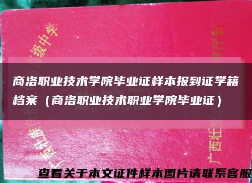 商洛職業技術學院畢業證樣本報到證學籍檔案（商洛職業技術職業學院畢業證）縮略圖