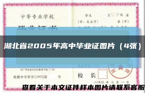 湖北省2005年高中畢業證圖片（4張）縮略圖