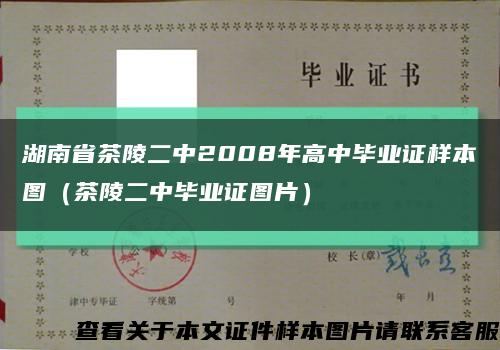 湖南省茶陵二中2008年高中畢業證樣本圖（茶陵二中畢業證圖片）縮略圖