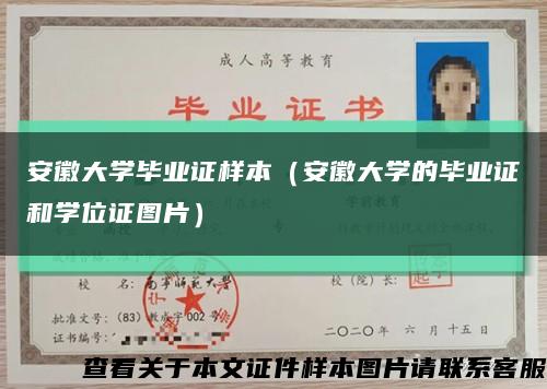 安徽大學畢業證樣本（安徽大學的畢業證和學位證圖片）縮略圖