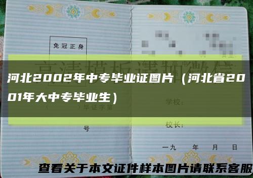 河北2002年中專畢業證圖片（河北省2001年大中專畢業生）縮略圖