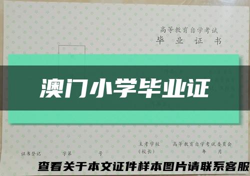 澳門小學畢業證縮略圖