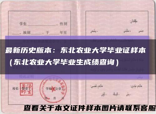 最新歷史版本：東北農業大學畢業證樣本 （東北農業大學畢業生成績查詢）縮略圖