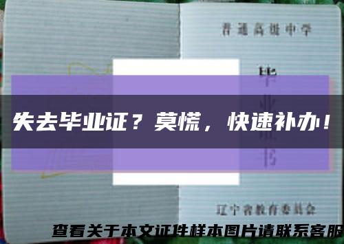 失去畢業證？莫慌，快速補辦！縮略圖