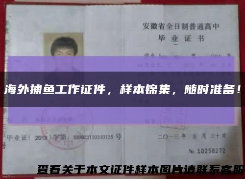 海外捕魚工作證件，樣本錦集，隨時準備！縮略圖
