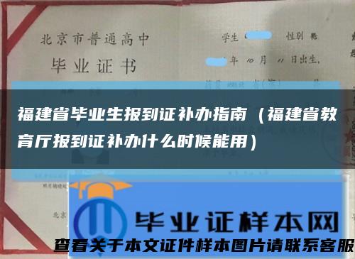 福建省畢業生報到證補辦指南（福建省教育廳報到證補辦什么時候能用）縮略圖