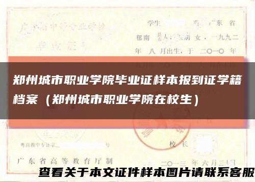 鄭州城市職業學院畢業證樣本報到證學籍檔案（鄭州城市職業學院在校生）縮略圖