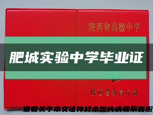 肥城實驗中學畢業證縮略圖