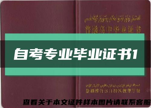 自考專業畢業證書1縮略圖