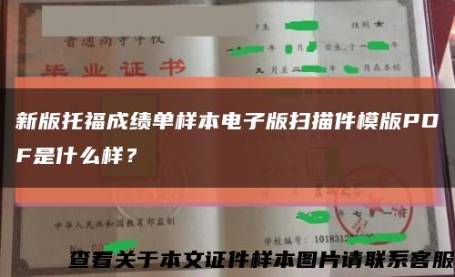 新版托福成績單樣本電子版掃描件模版PDF是什么樣？縮略圖