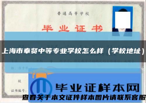 上海市奉賢中等專業學校怎么樣（學校地址）縮略圖