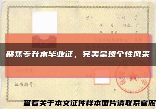 聚焦專升本畢業證，完美呈現個性風采縮略圖