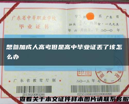 想參加成人高考但是高中畢業證丟了該怎么辦縮略圖