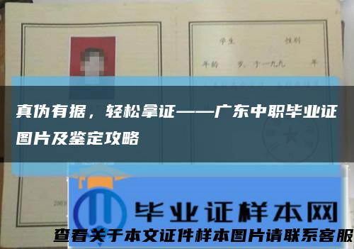 真偽有據，輕松拿證——廣東中職畢業證圖片及鑒定攻略縮略圖