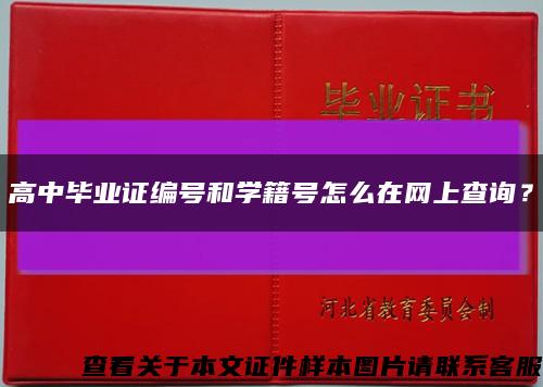 高中畢業證編號和學籍號怎么在網上查詢？縮略圖