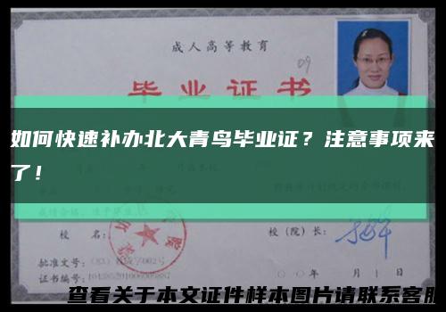 如何快速補辦北大青鳥畢業證？注意事項來了！縮略圖