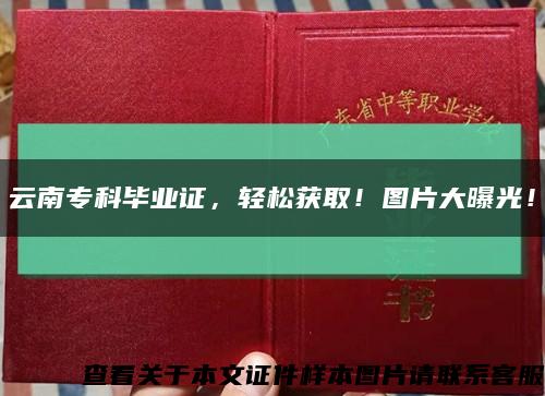 云南?？飘厴I證，輕松獲??！圖片大曝光！縮略圖