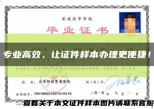 專業高效，讓證件樣本辦理更便捷！縮略圖
