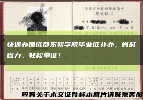 快速辦理成都東軟學院畢業證補辦，省時省力，輕松拿證！縮略圖