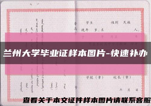 蘭州大學畢業證樣本圖片-快速補辦縮略圖