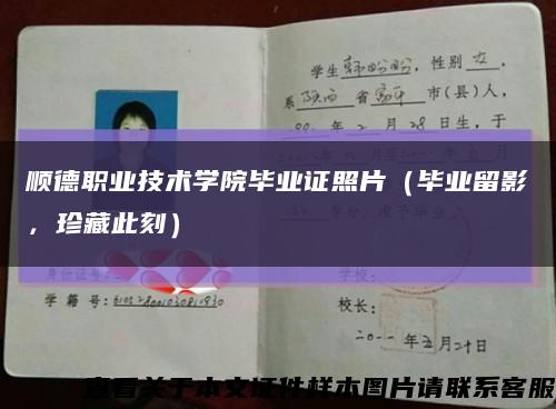 順德職業技術學院畢業證照片（畢業留影，珍藏此刻）縮略圖