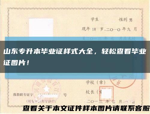 山東專升本畢業證樣式大全，輕松查看畢業證圖片！縮略圖
