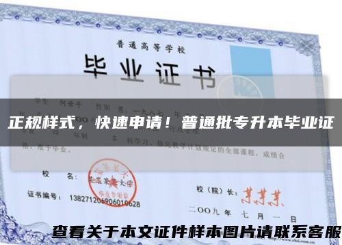 正規樣式，快速申請！普通批專升本畢業證縮略圖