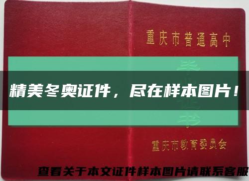 精美冬奧證件，盡在樣本圖片！縮略圖