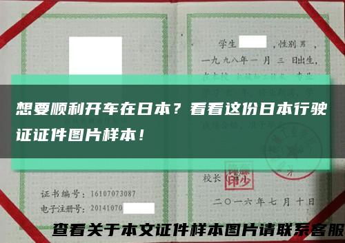想要順利開車在日本？看看這份日本行駛證證件圖片樣本！縮略圖