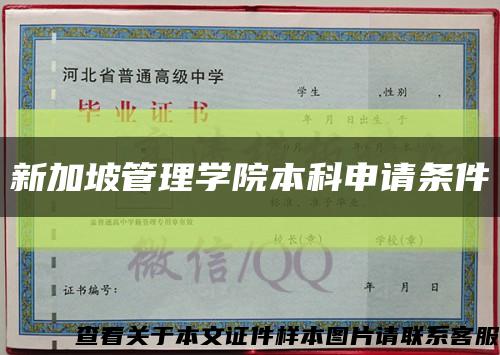 新加坡管理學院本科申請條件縮略圖