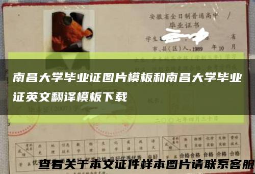 南昌大學畢業證圖片模板和南昌大學畢業證英文翻譯模板下載縮略圖