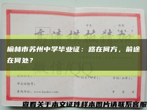 榆林市蘇州中學畢業證：路在何方，前途在何處？縮略圖