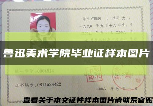 魯迅美術學院畢業證樣本圖片縮略圖