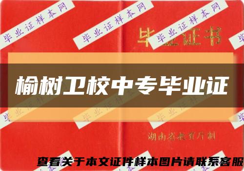 榆樹衛校中專畢業證縮略圖