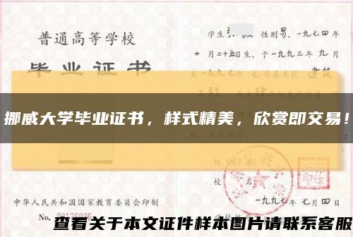 挪威大學畢業證書，樣式精美，欣賞即交易！縮略圖