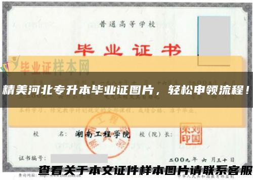 精美河北專升本畢業證圖片，輕松申領流程！縮略圖