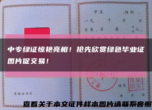 中專綠證驚艷亮相！搶先欣賞綠色畢業證圖片促交易！縮略圖