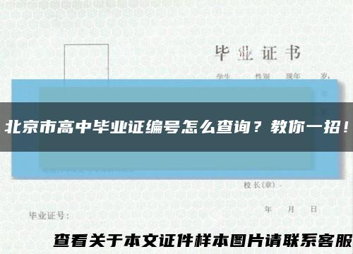 北京市高中畢業證編號怎么查詢？教你一招！縮略圖