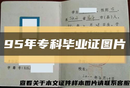 95年?？飘厴I證圖片縮略圖