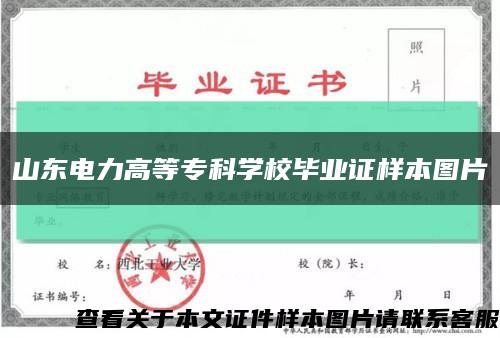 山東電力高等?？茖W校畢業證樣本圖片縮略圖