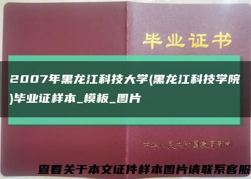 2007年黑龍江科技大學(黑龍江科技學院)畢業證樣本_模板_圖片縮略圖